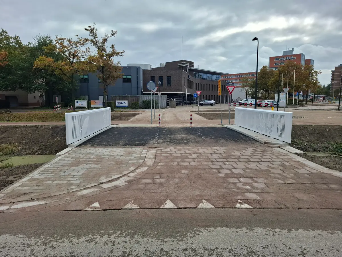 Rietorchisbrug Leiden